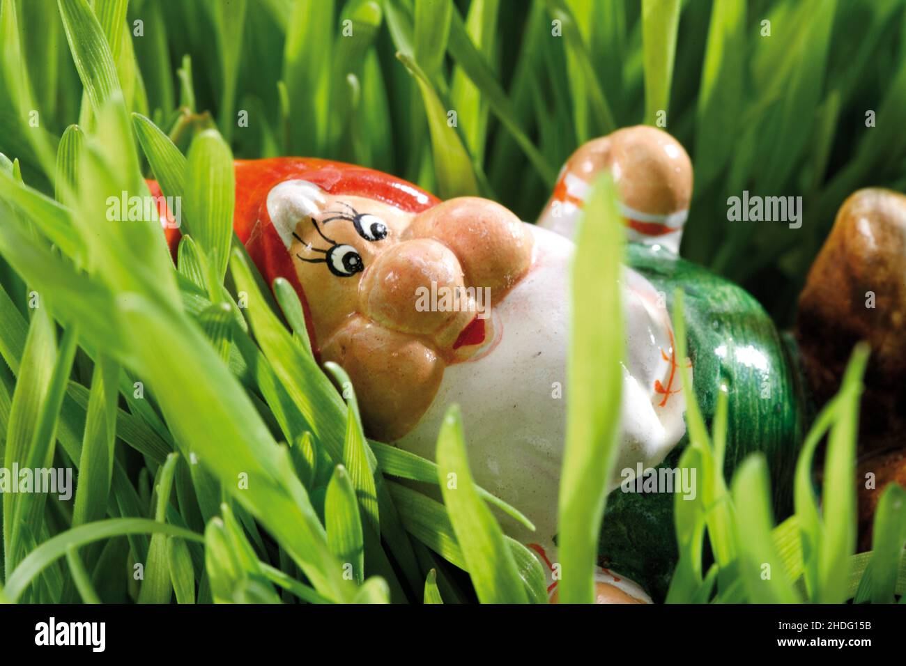 garden gnome, garden gnomes Stock Photo Alamy