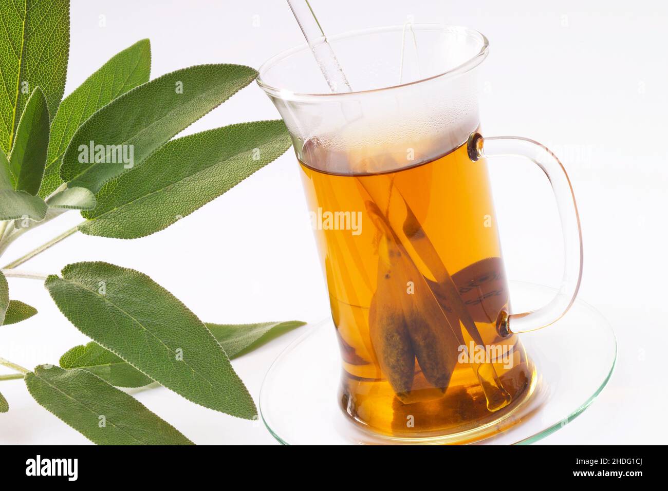 sage tea, sage teas Stock Photo Alamy