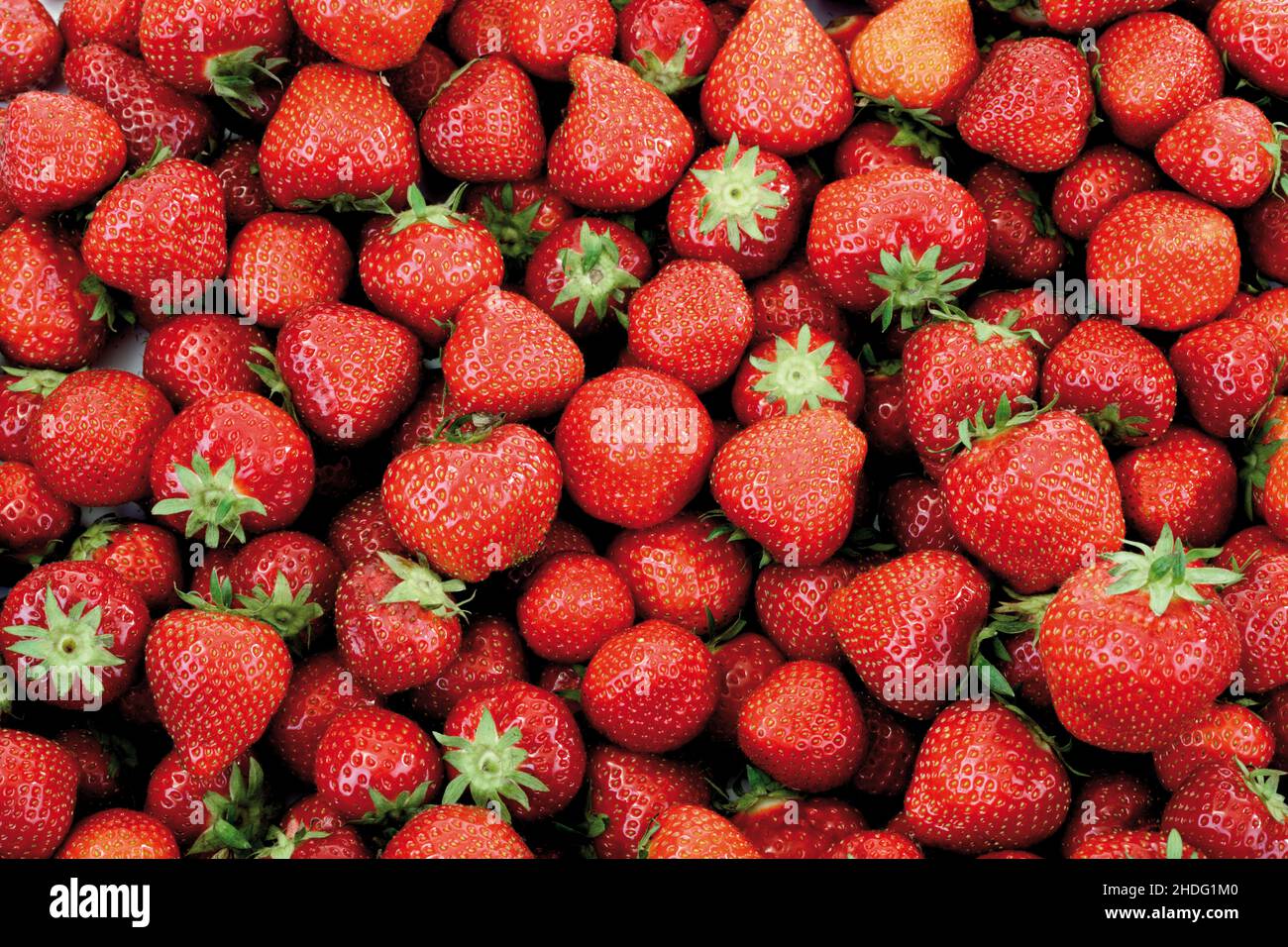Strawberries full frame hi-res stock photography and images - Alamy