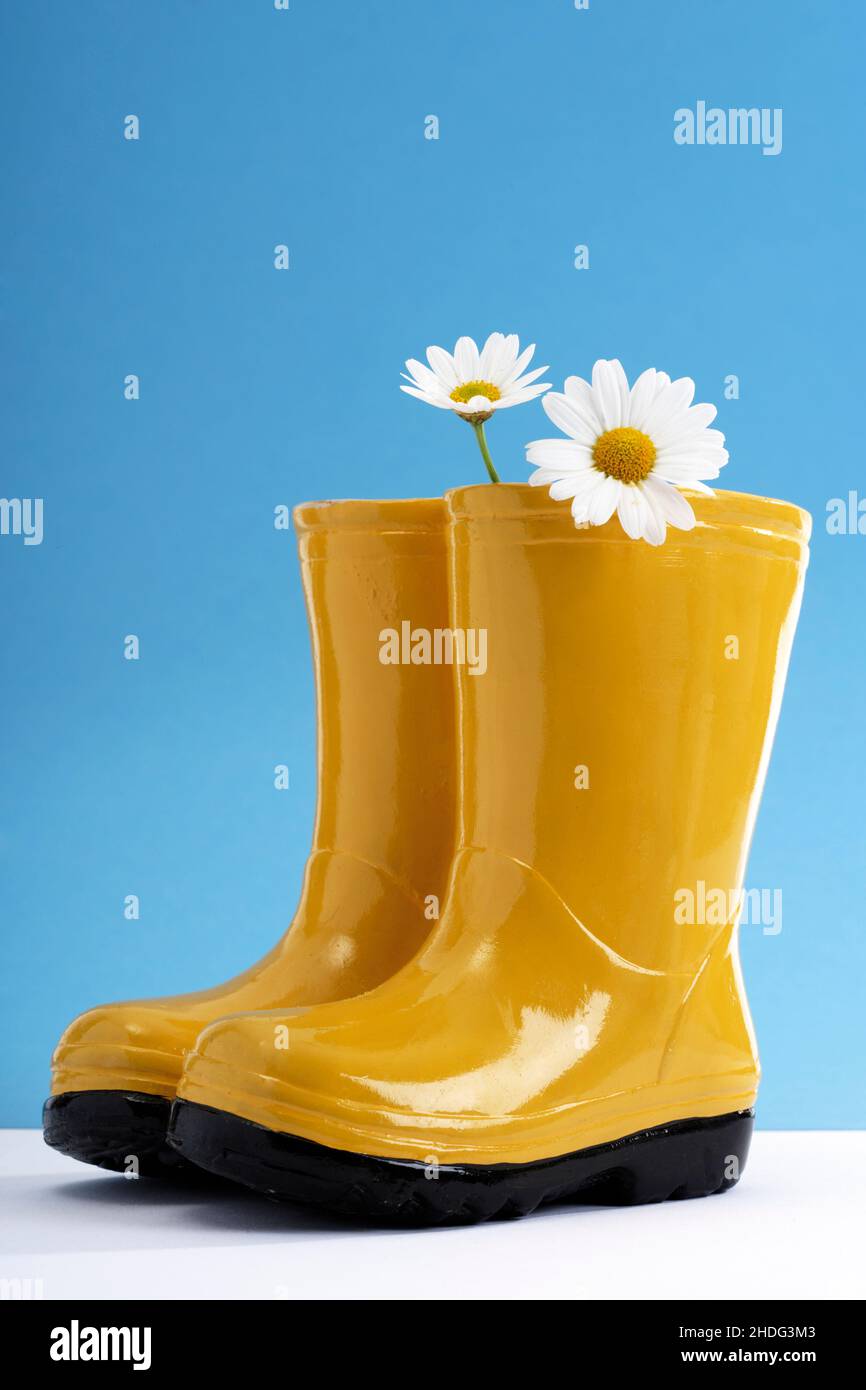 Studio wellies deals