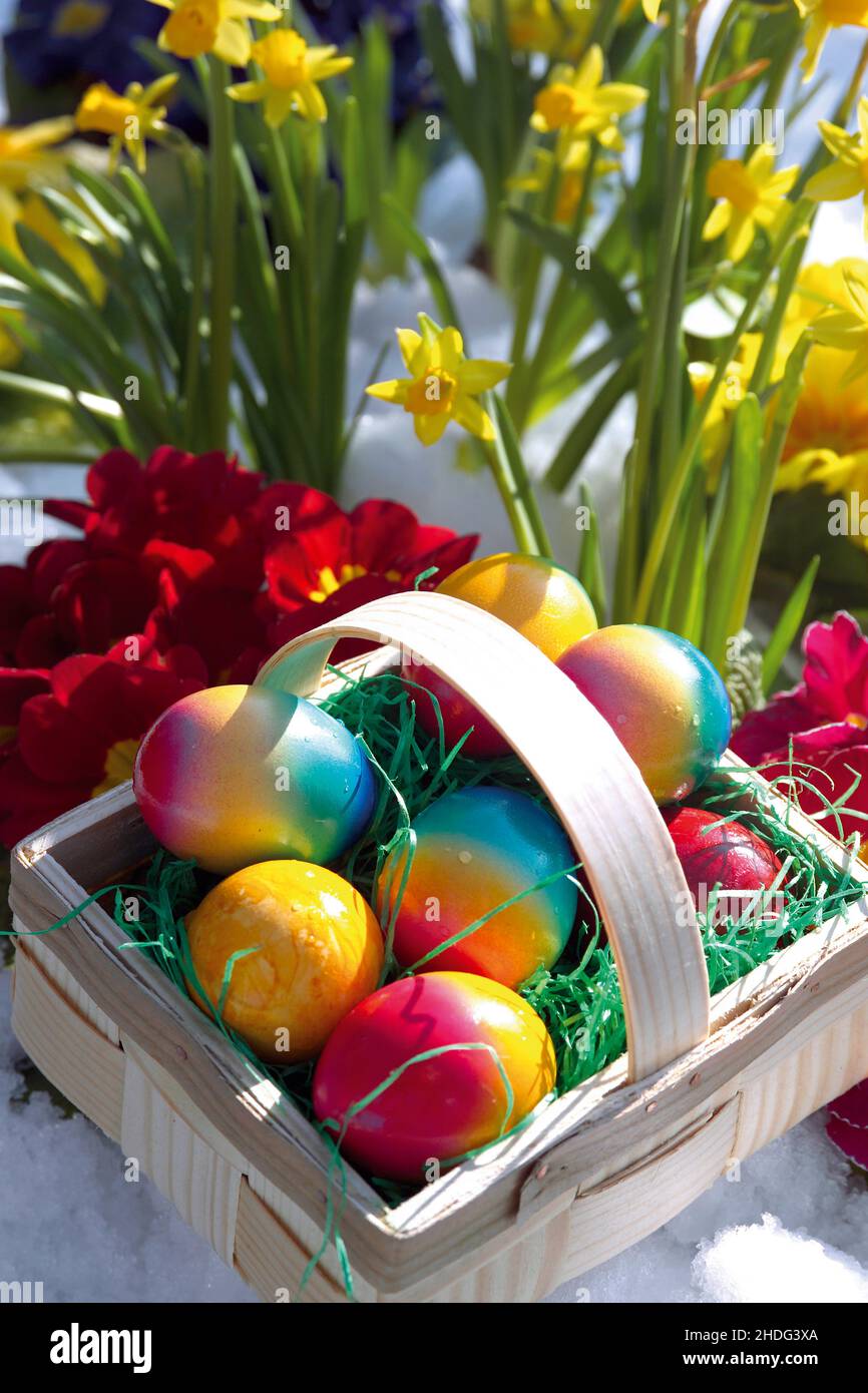 easter, easter eggs, easter time, easters, easter egg Stock Photo