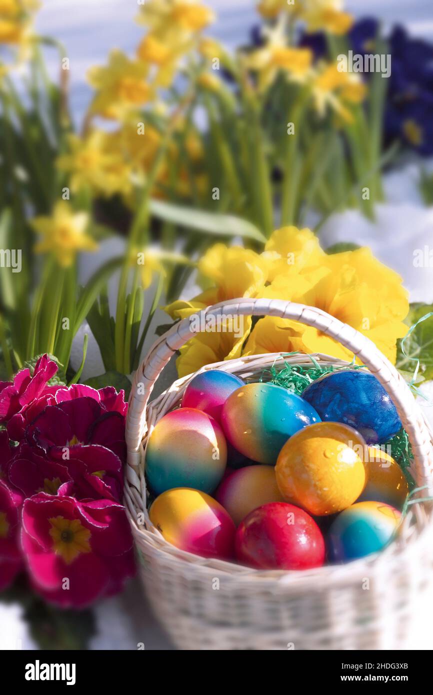 early spring, easter time, easters Stock Photo - Alamy