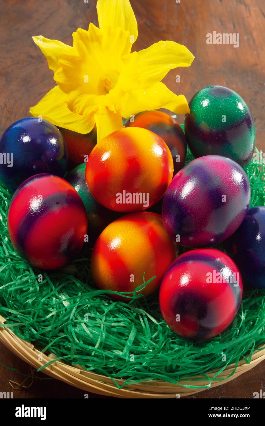 easter, easter nest, easter decoration, easters, easter decorations Stock Photo