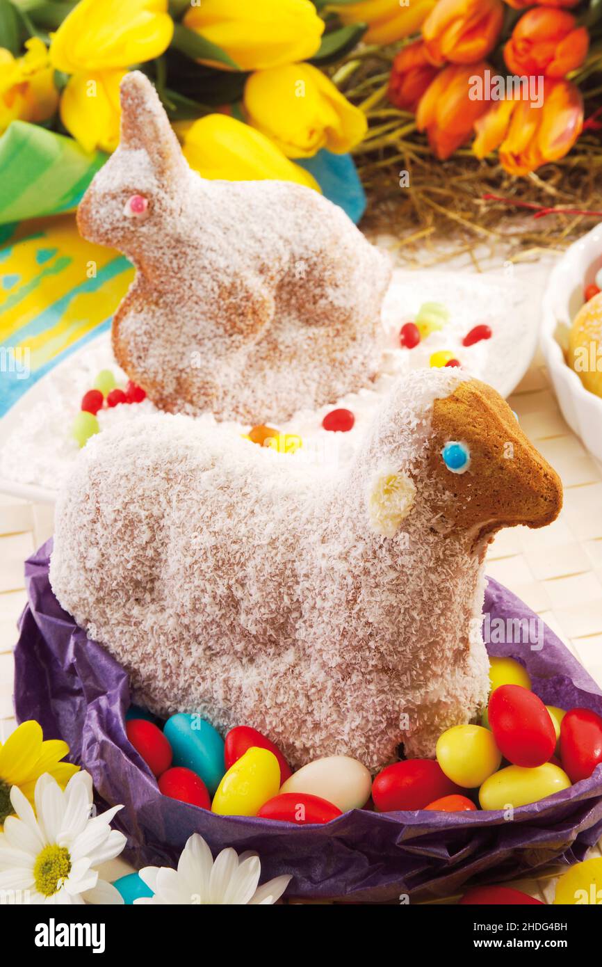 easter nest, easter bunny, easter, easters, easter bunnies Stock Photo