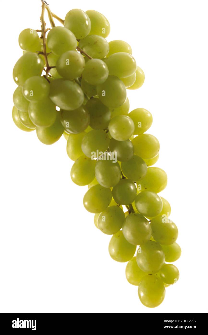grape, table grapes, grapes, table grape Stock Photo Alamy