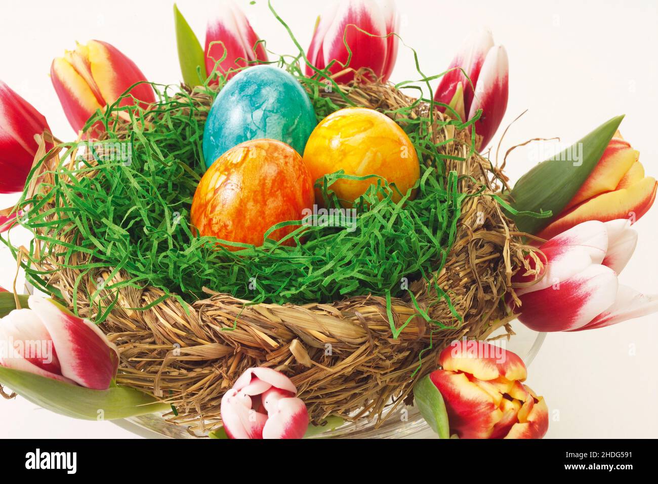 easter egg, easter nest, easter eggs, easters Stock Photo