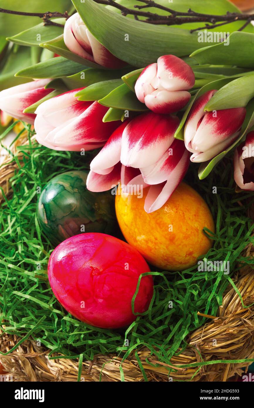easter, easter egg, easters, easter eggs Stock Photo