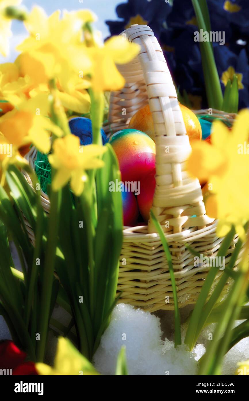 easter, easter basket, egg hunt, easters, easter baskets, egg hunts Stock Photo