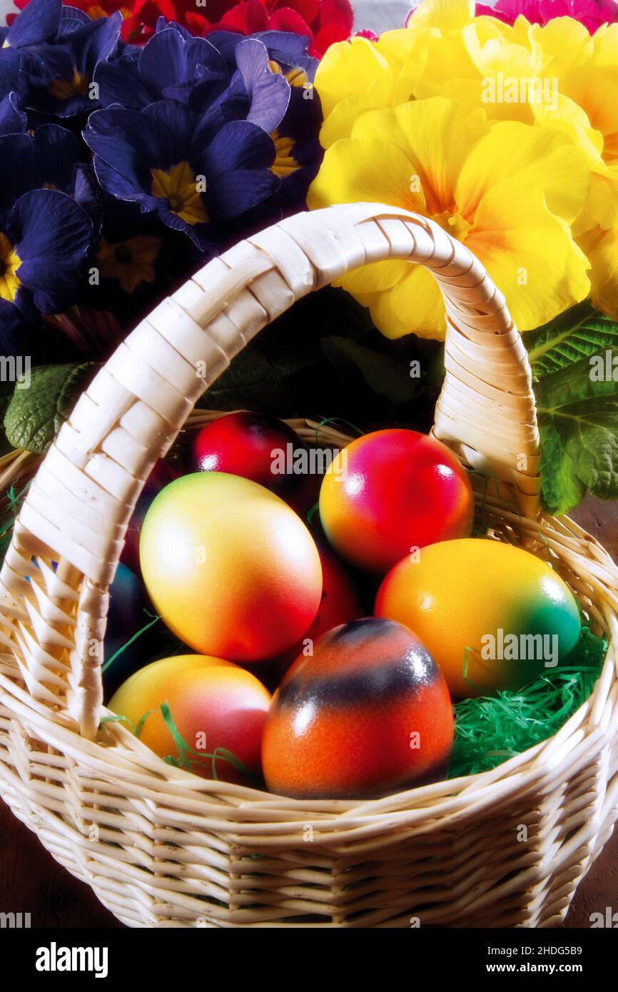 easter egg, easter basket, easter eggs, easter baskets Stock Photo