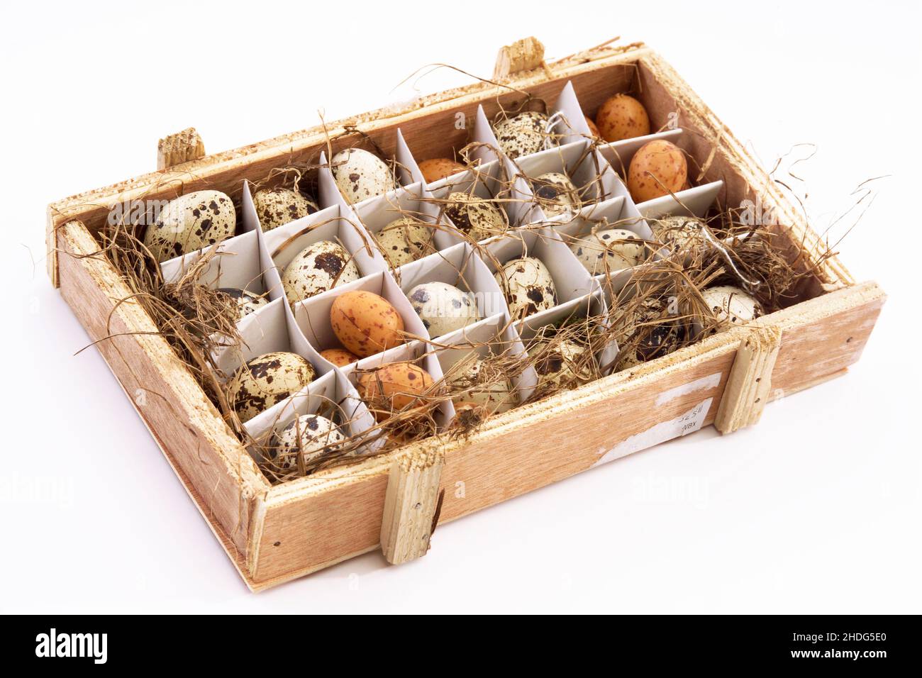 fragile, quail eggs, fragiles, quail egg Stock Photo