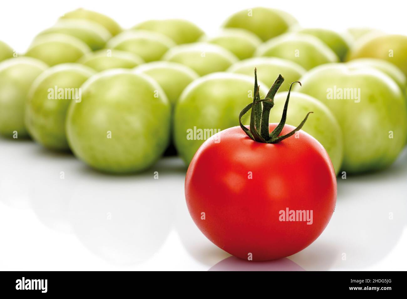 tomato, unripe, degree of maturity, tomatoe, tomatoes, tomatos, unripes