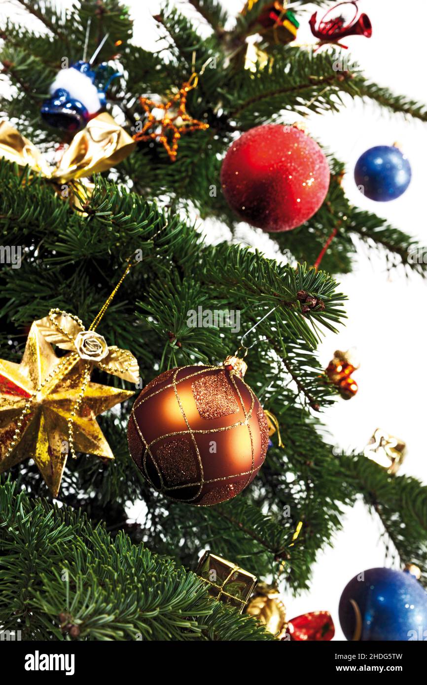 christmas tree, baubles, christmas jewelry, christmas trees, bauble