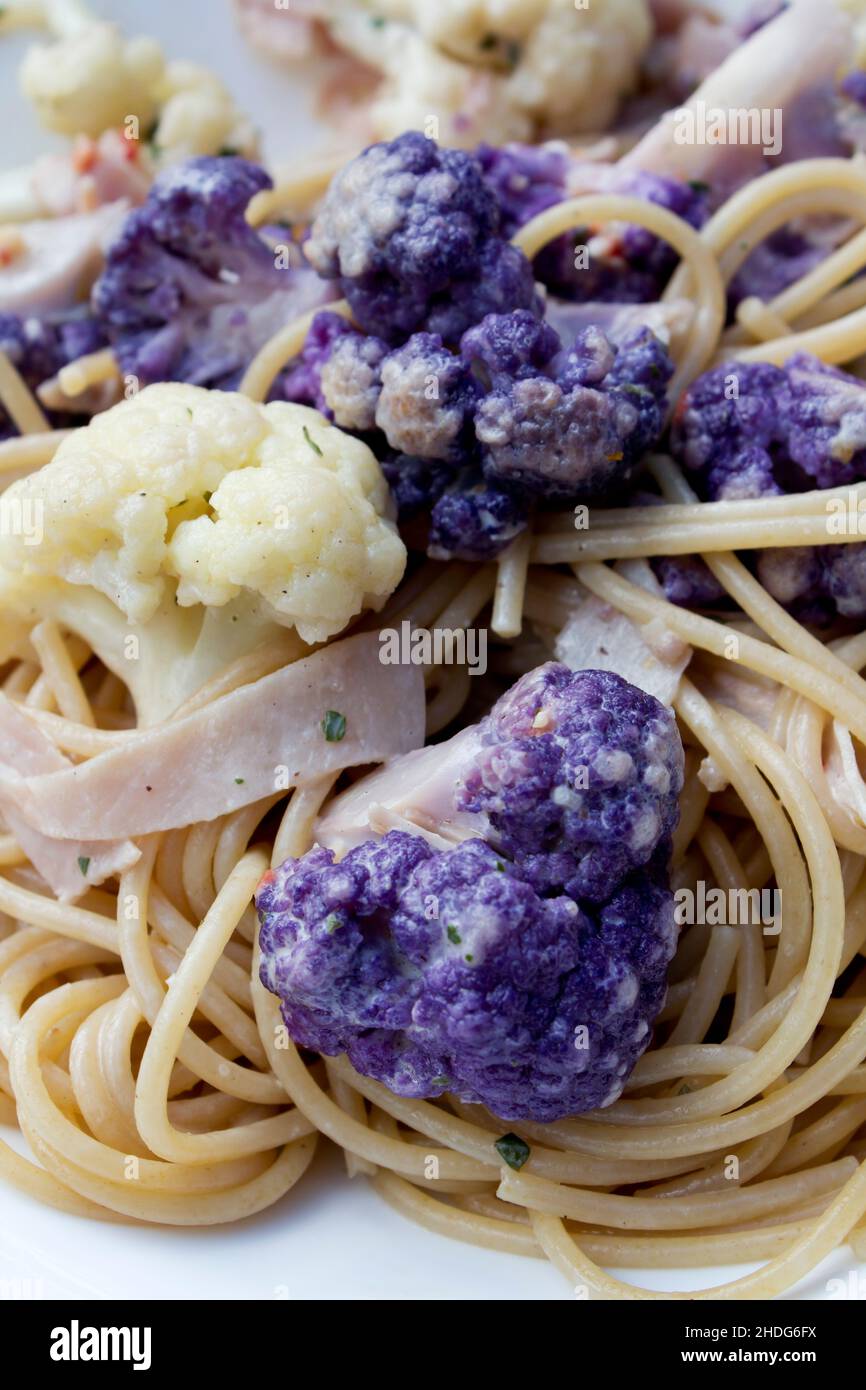 spaghetti, lunch, spaghettis, lunch time Stock Photo Alamy