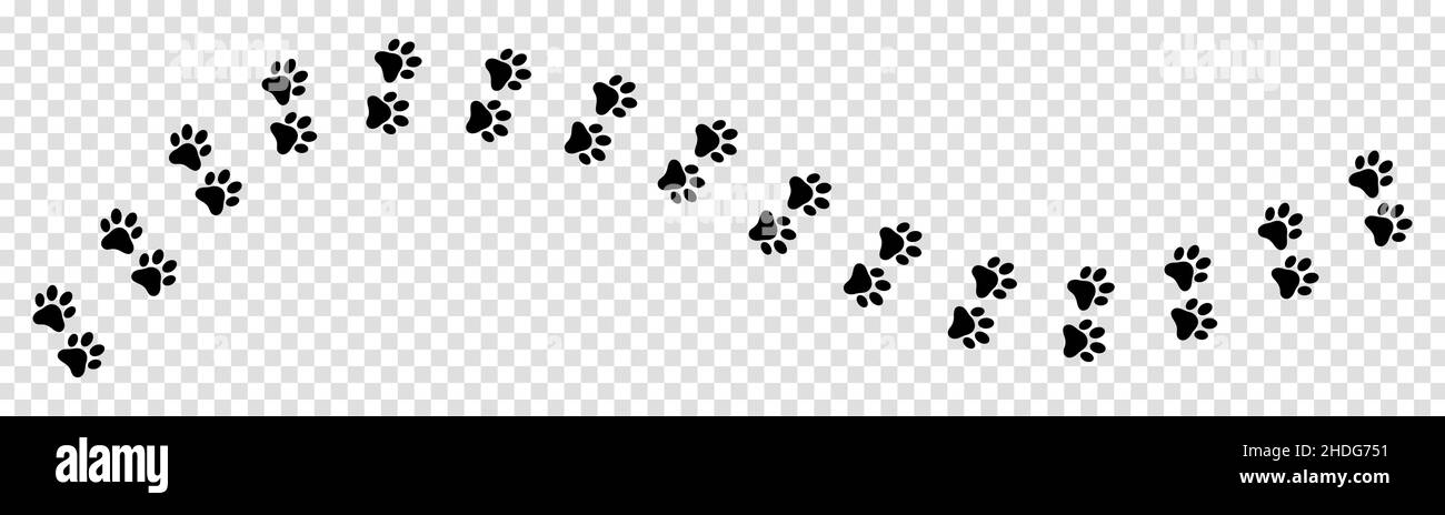 Paw print foot trail isolated on transparent background. Horizontal tracks for t-shirts, backgrounds, patterns, websites, showcases design, greeting c Stock Vector