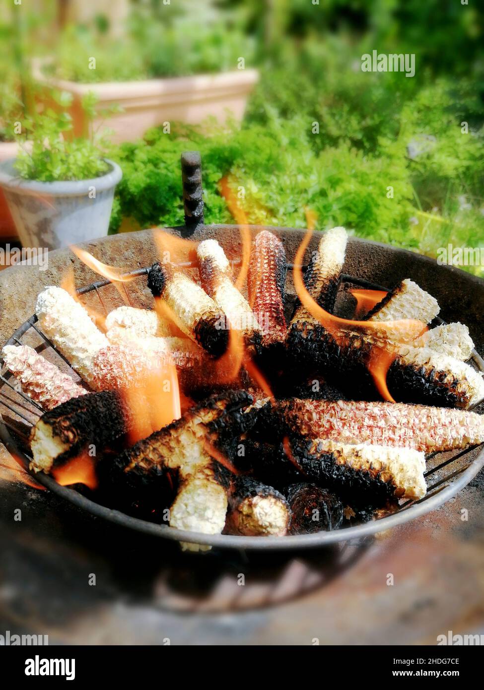 ecologically, ecologicallies Stock Photo