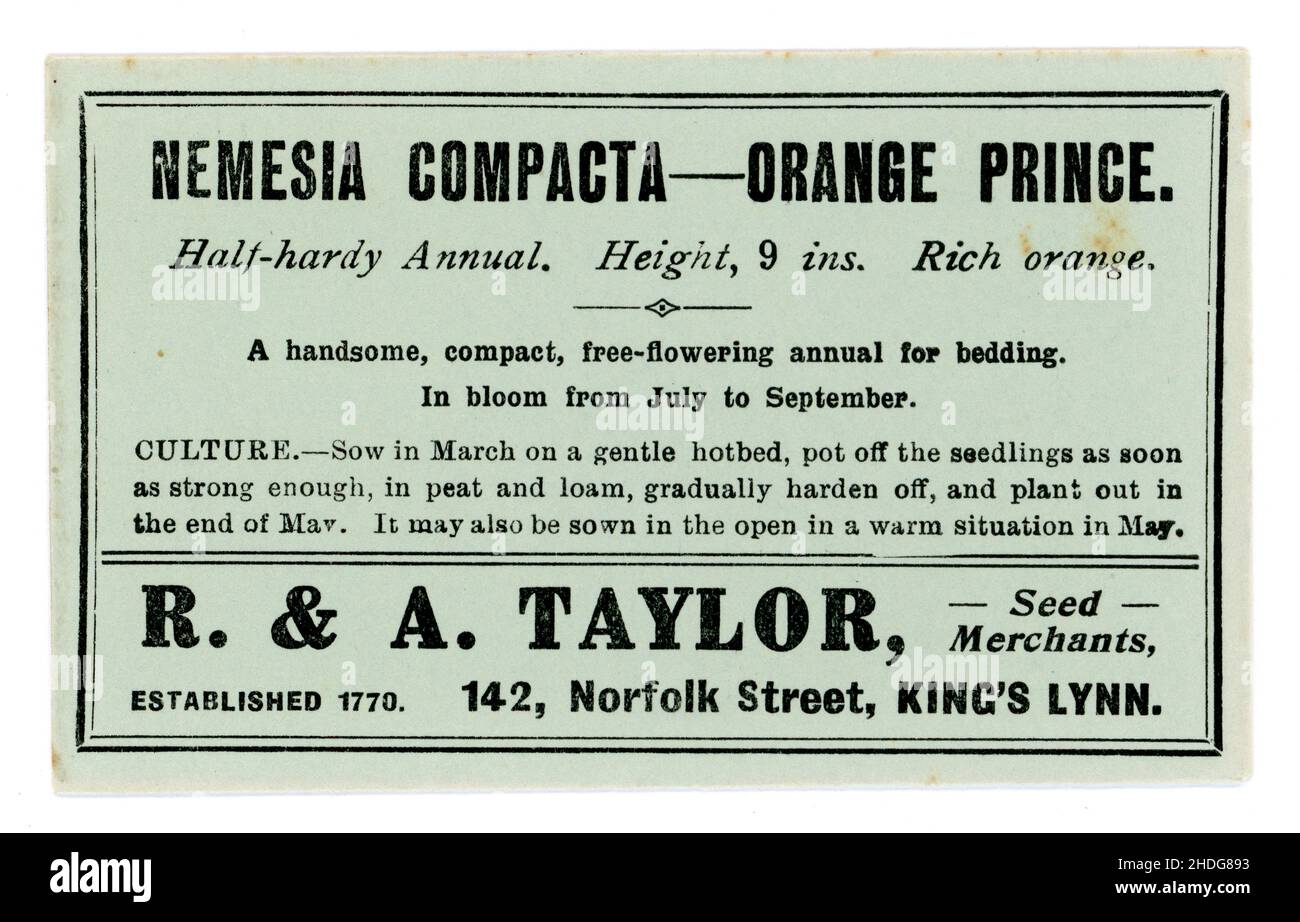Original early 1900's seed packet containing seeds for Nemesia strumosa compacta, of the variety 'Orange Prince' from seed merchants R & A Taylor of King's Lynn, Norfolk, England, U.K. circa 1930's. Stock Photo