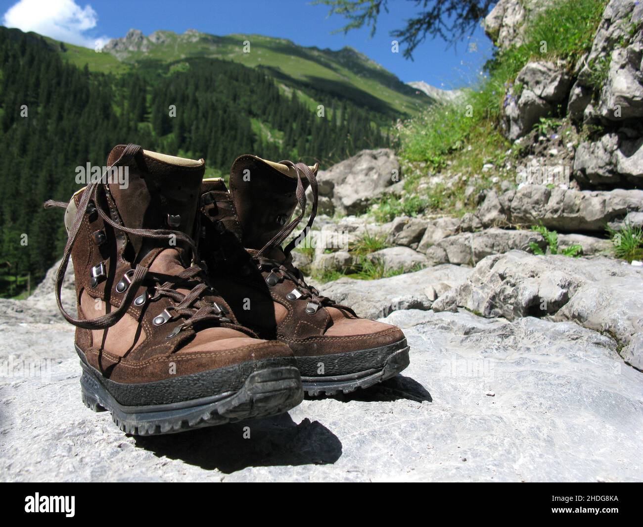 debenhams hiking boots