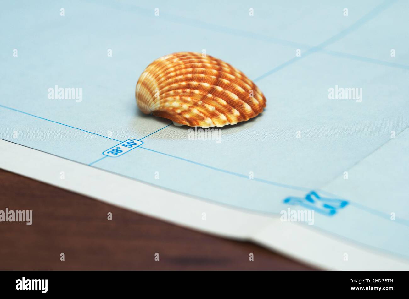 seashell on a map Stock Photo