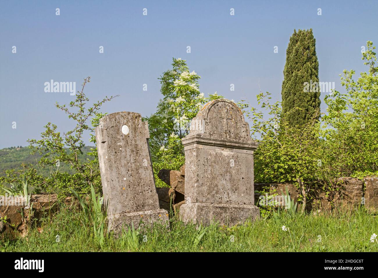 withered, gravestones, withereds, gravestone, headstone, headstones, tombstone, tombstones Stock Photo