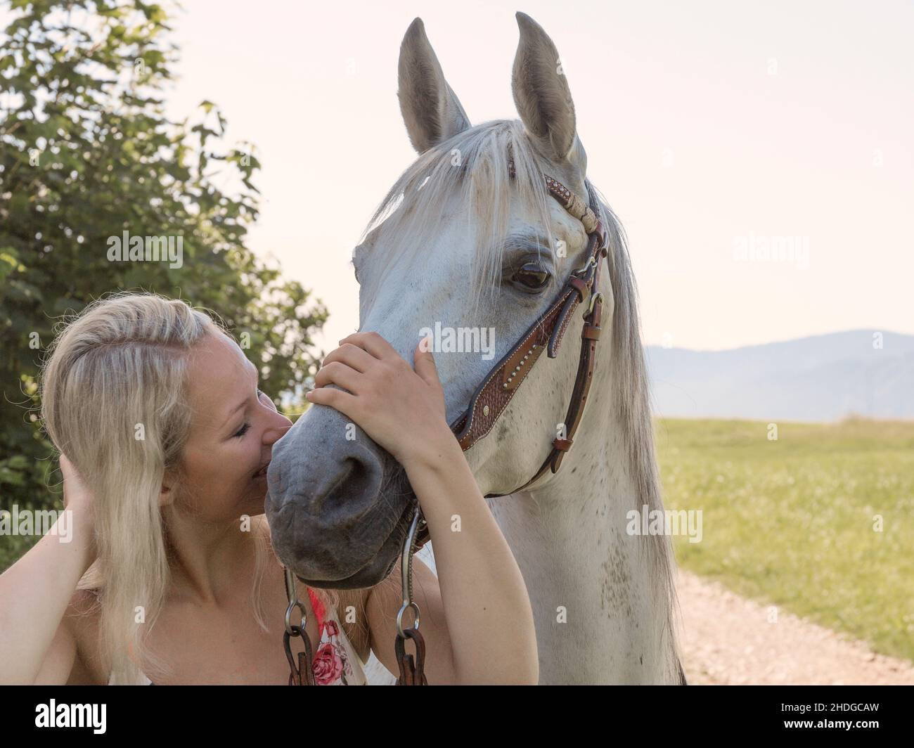 animal love, horse love, animal loves Stock Photo Alamy