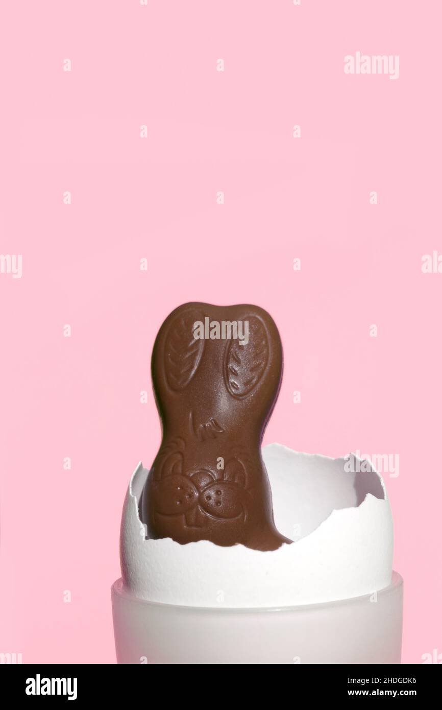 easter, chocolate bunny, easters, chocolate bunnies Stock Photo