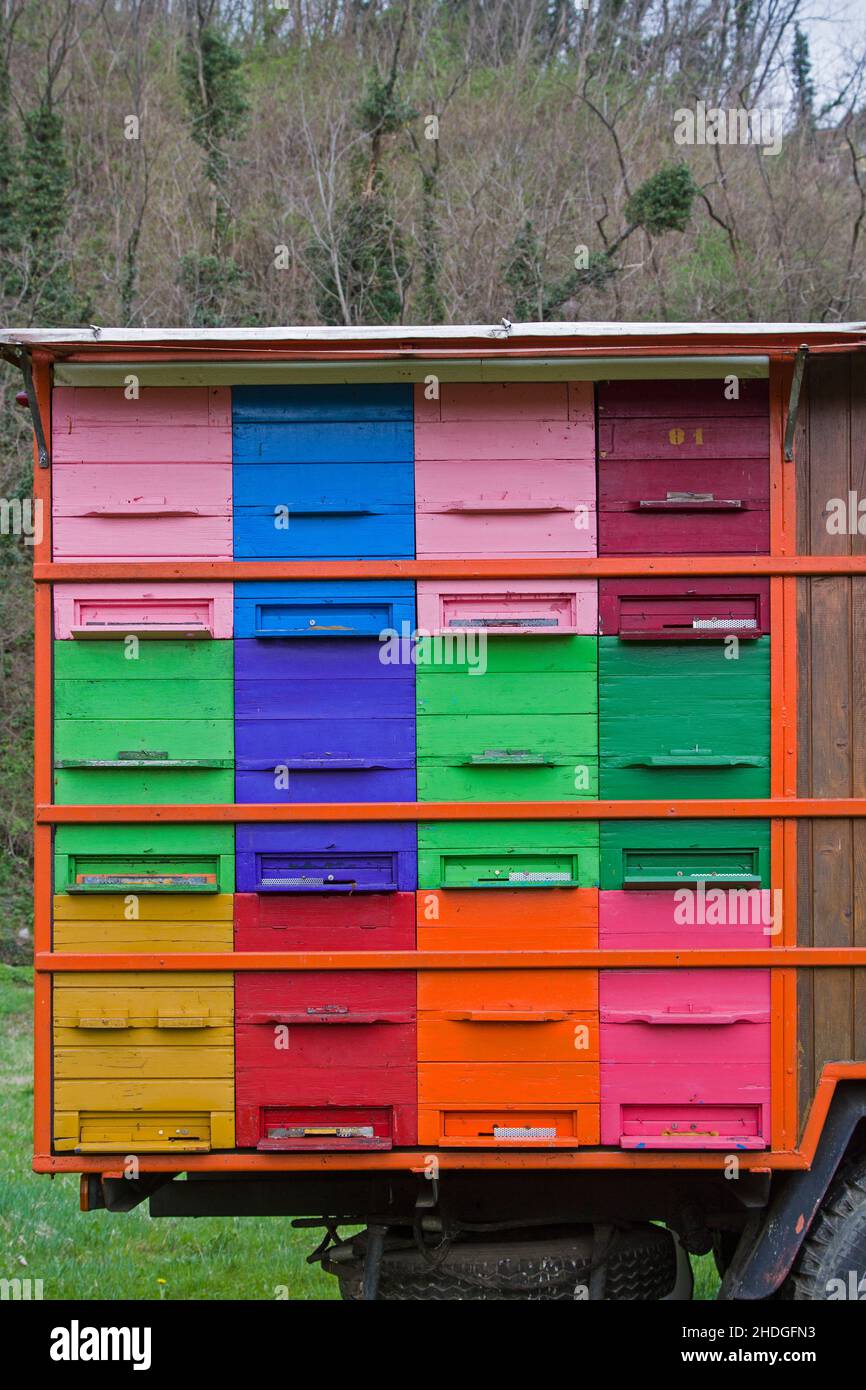 apiary, beehive, apiaries, beehives Stock Photo - Alamy