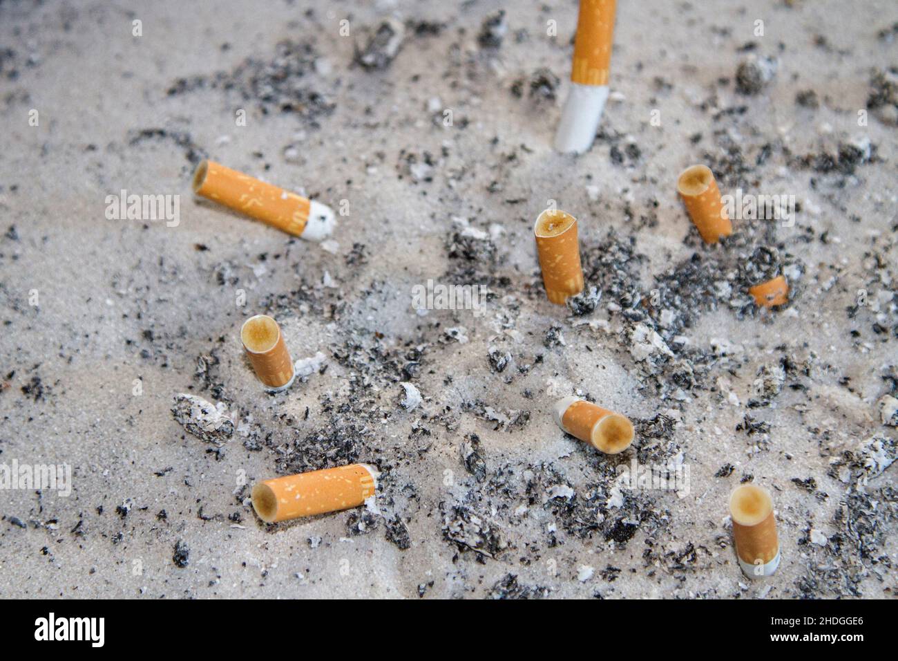 are athletes allowed to smoke cigarettes Did players used to smoke on the field? If so when did they stop? : r/Oldschool_NFL are athletes allowed to smoke cigarettes Did players used to smoke on the field? If so when did they stop? : r/Oldschool_NFL