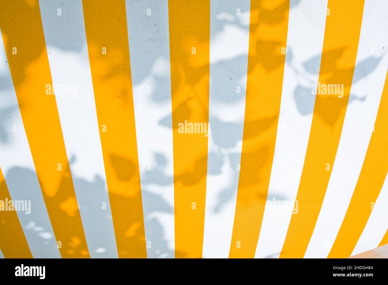 Canopy shadows hi-res stock photography and images - Alamy
