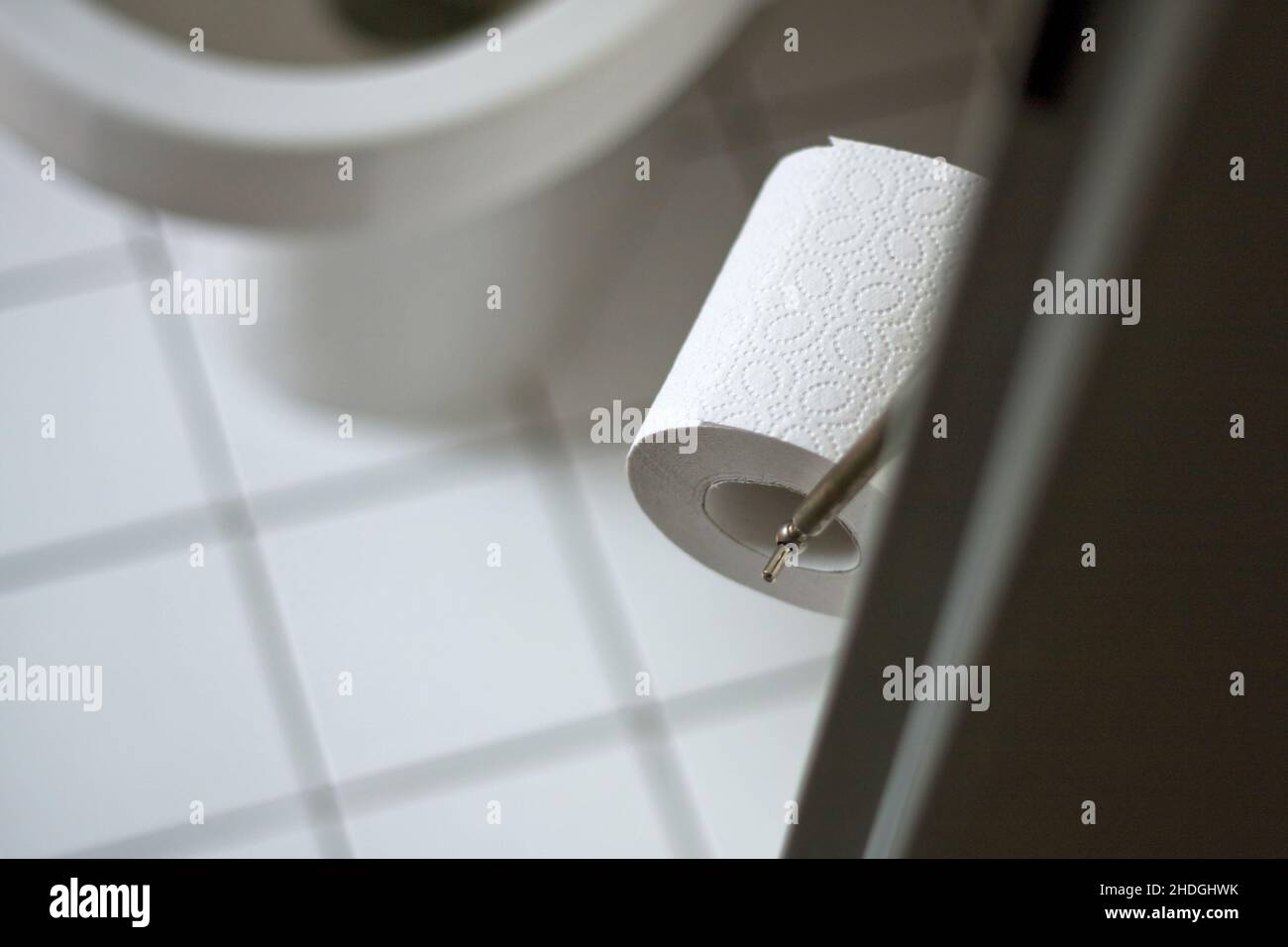 toilet, toilet paper, sanitary facilities, sanitary facility, toilets