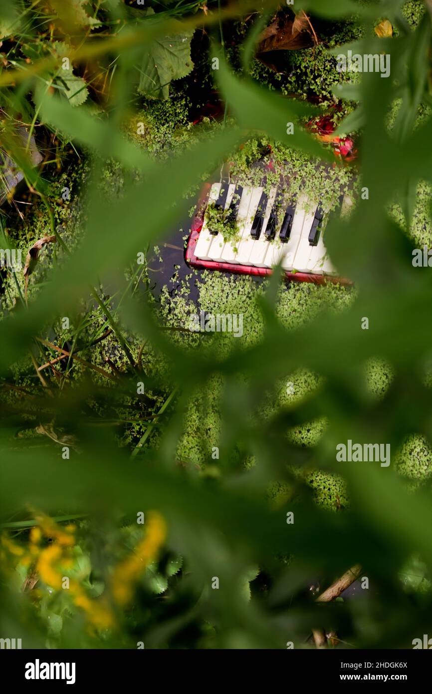 garbage, discarded, accordion, garbages, discardeds, accordions Stock Photo Alamy