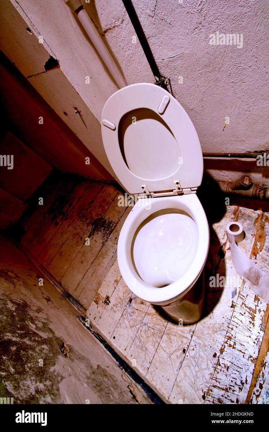 Use the loo hi-res stock photography and images - Alamy