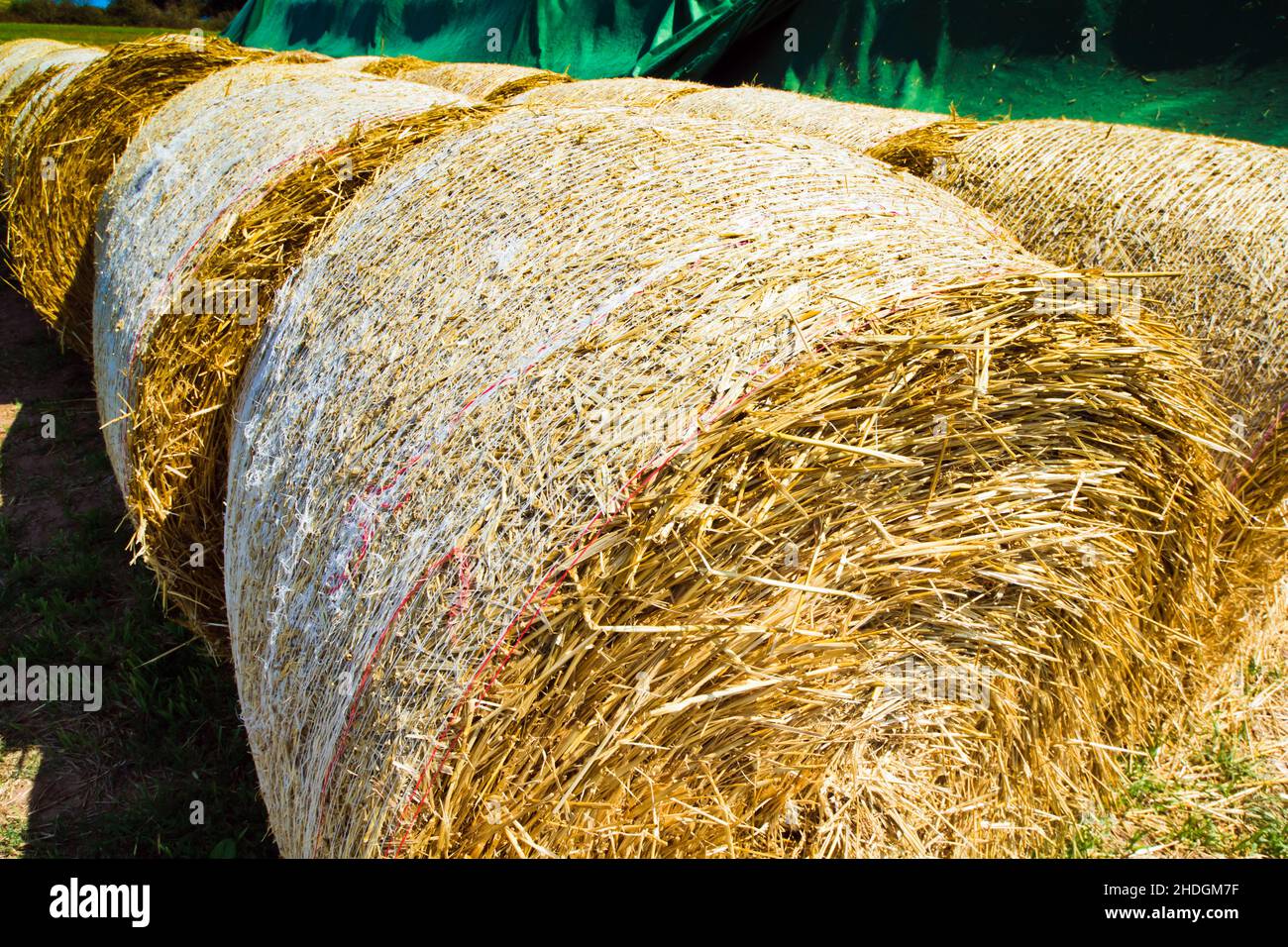 straw bales, straw bale Stock Photo Alamy