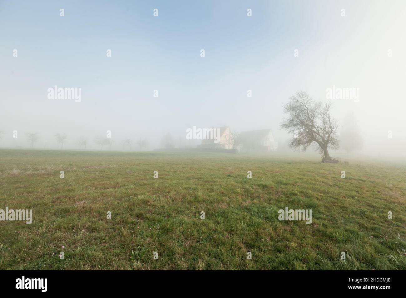 The fog scene hi-res stock photography and images - Alamy