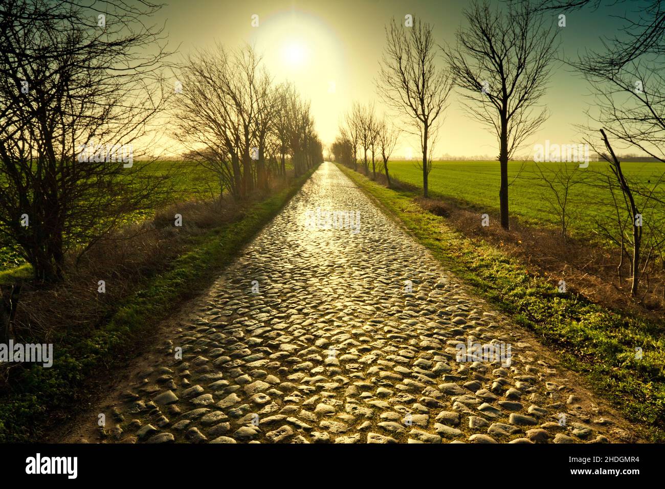 cobblestone, cobbled road, cobblestones, cobbled roads Stock Photo Alamy