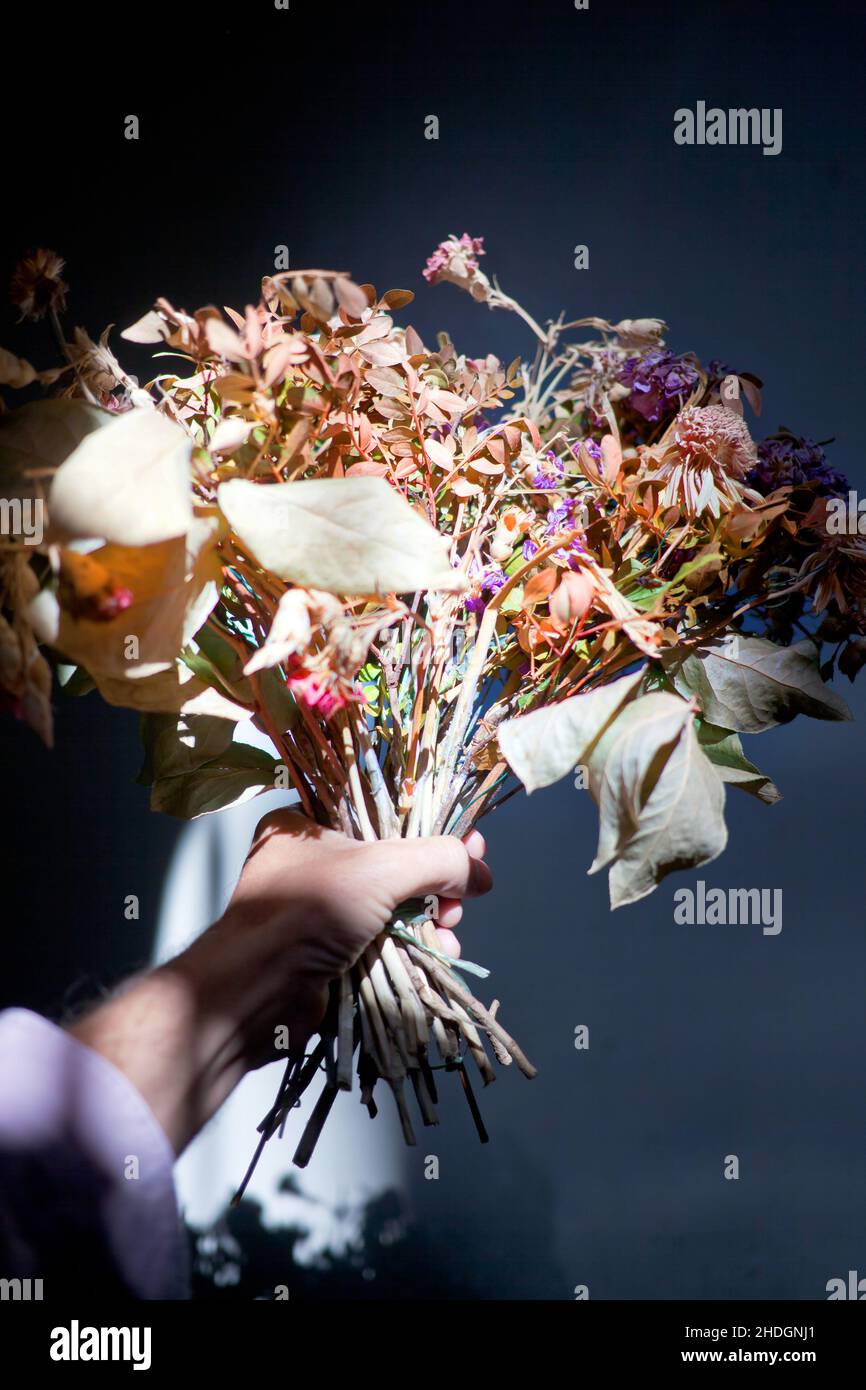bouquet, faded, dried flowers, bouquets, fadeds, dried flower Stock
