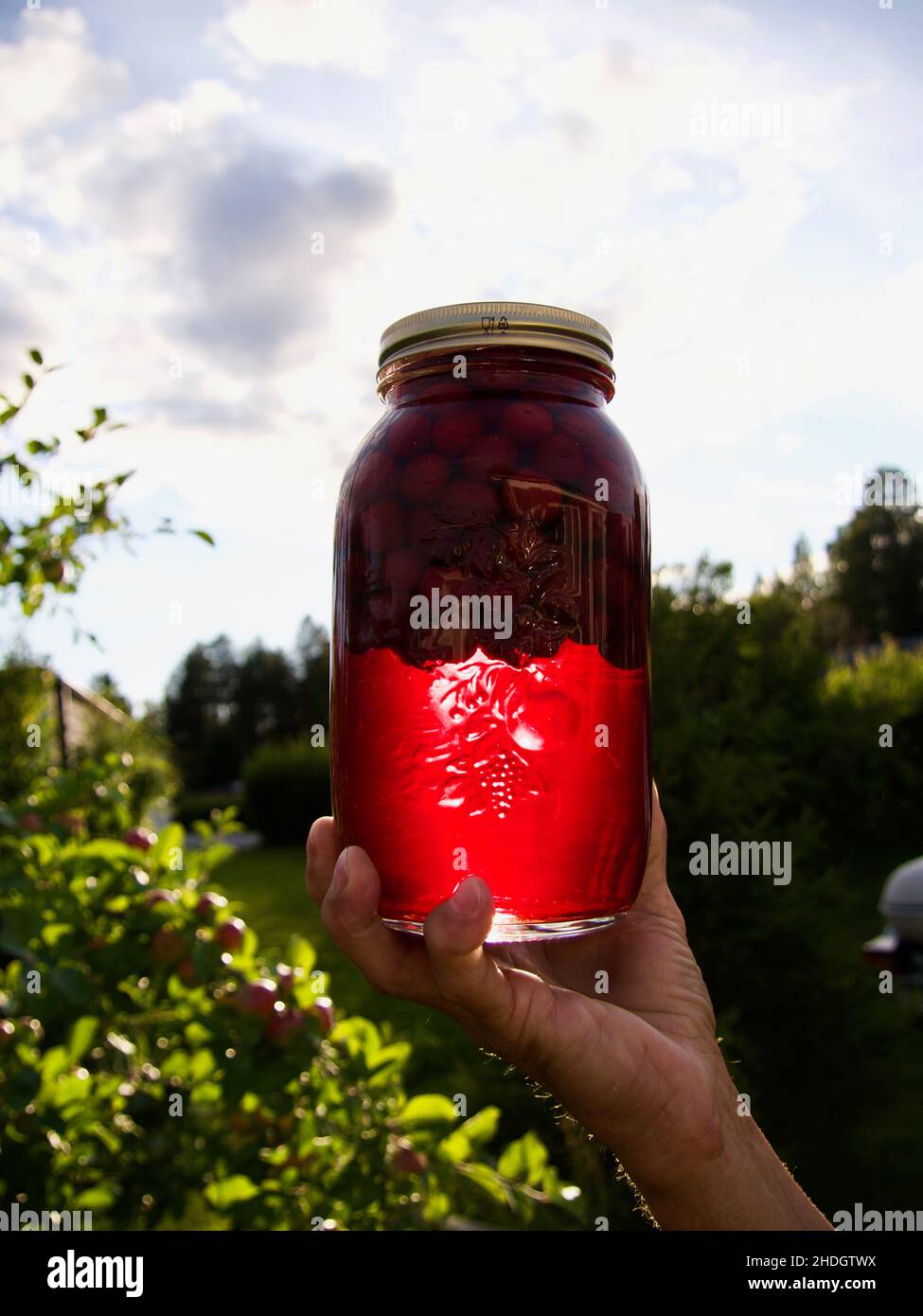 cherry compote drink in hand on skybackground Stock Photo Alamy
