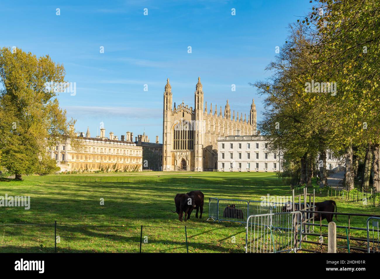 Kinds College and Clare College from The Backs Queen's Road Cambridge city 2021 Stock Photo