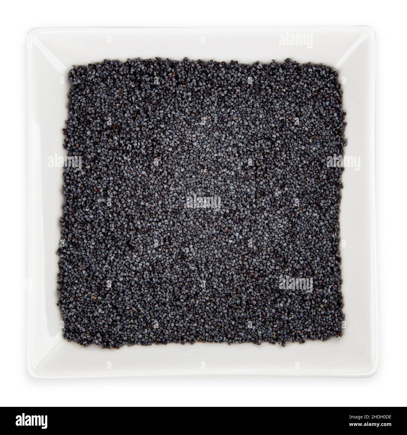 poppy, poppy seed, poppies, poppy seeds Stock Photo - Alamy