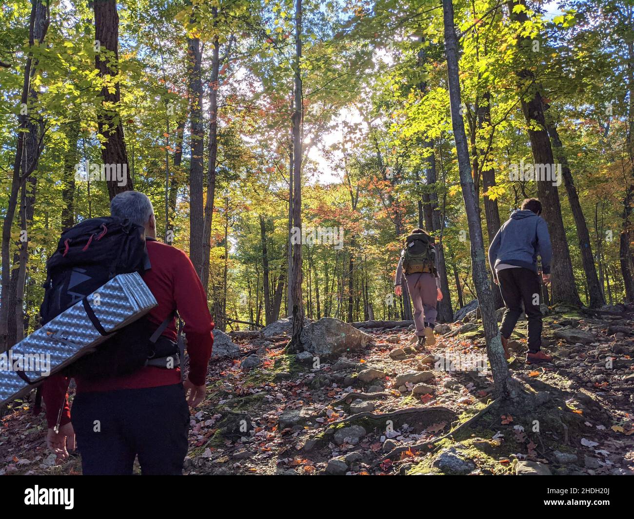 Group hiking forest hi-res stock photography and images - Alamy