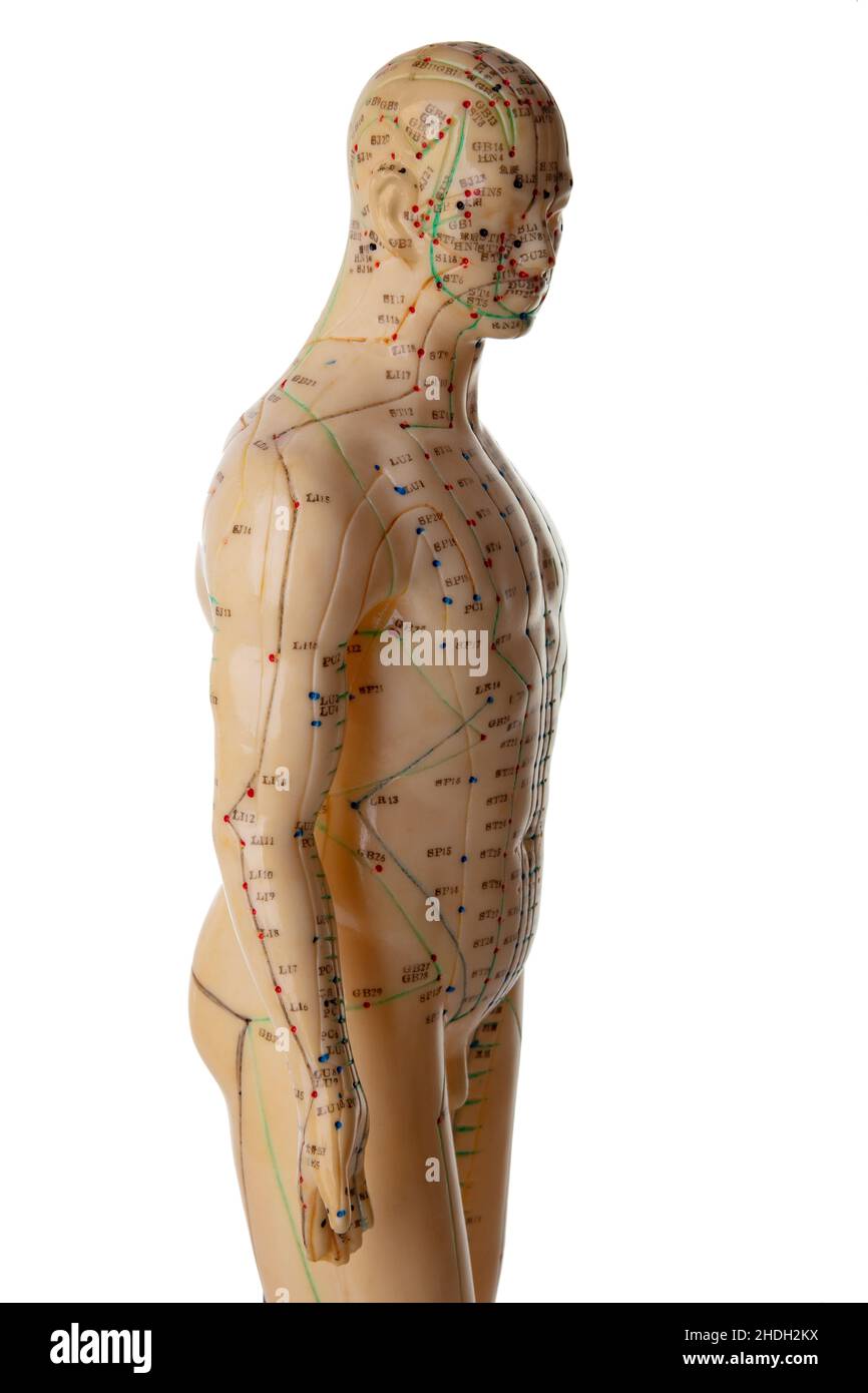 acupuncture, tcm, acupunctures, tcms Stock Photo Alamy