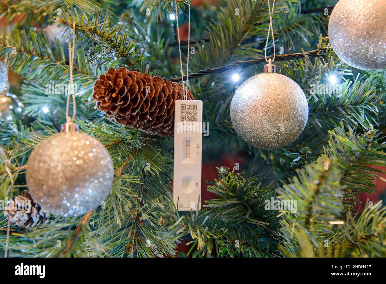 Coronavirus pandemic - A Positive Covid-19 Lateral Flow Test Result hanging on a Christmas tree Stock Photo