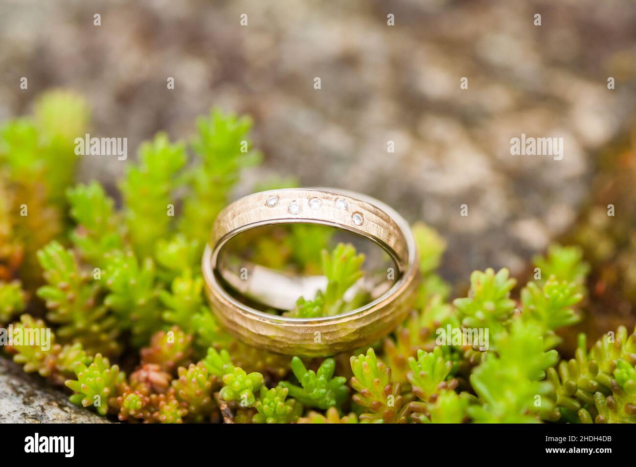 wedding ring, wedding rings Stock Photo Alamy