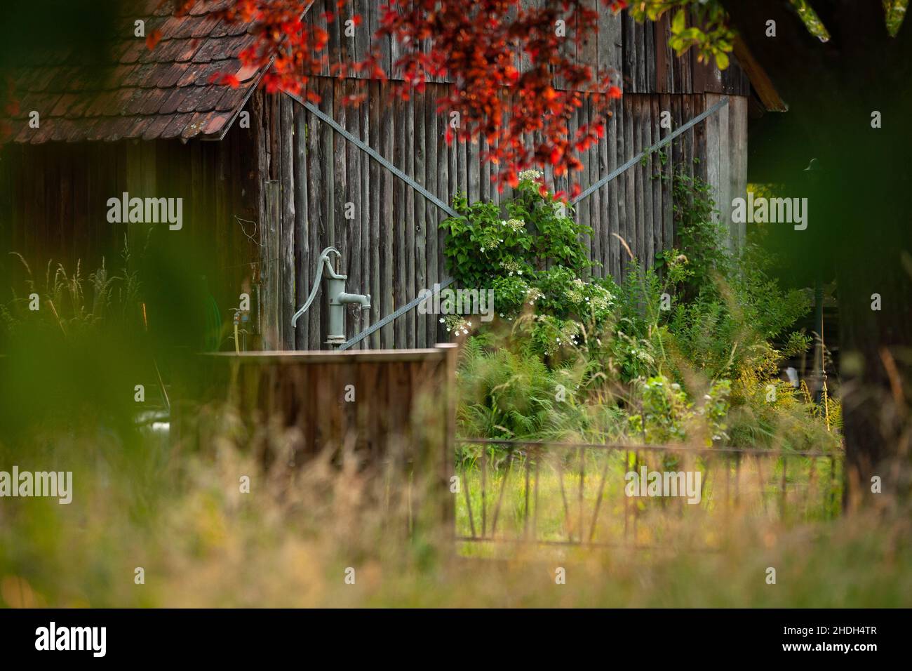 garden, rural scene, cabin, pump, water pump, woodshed, gardens