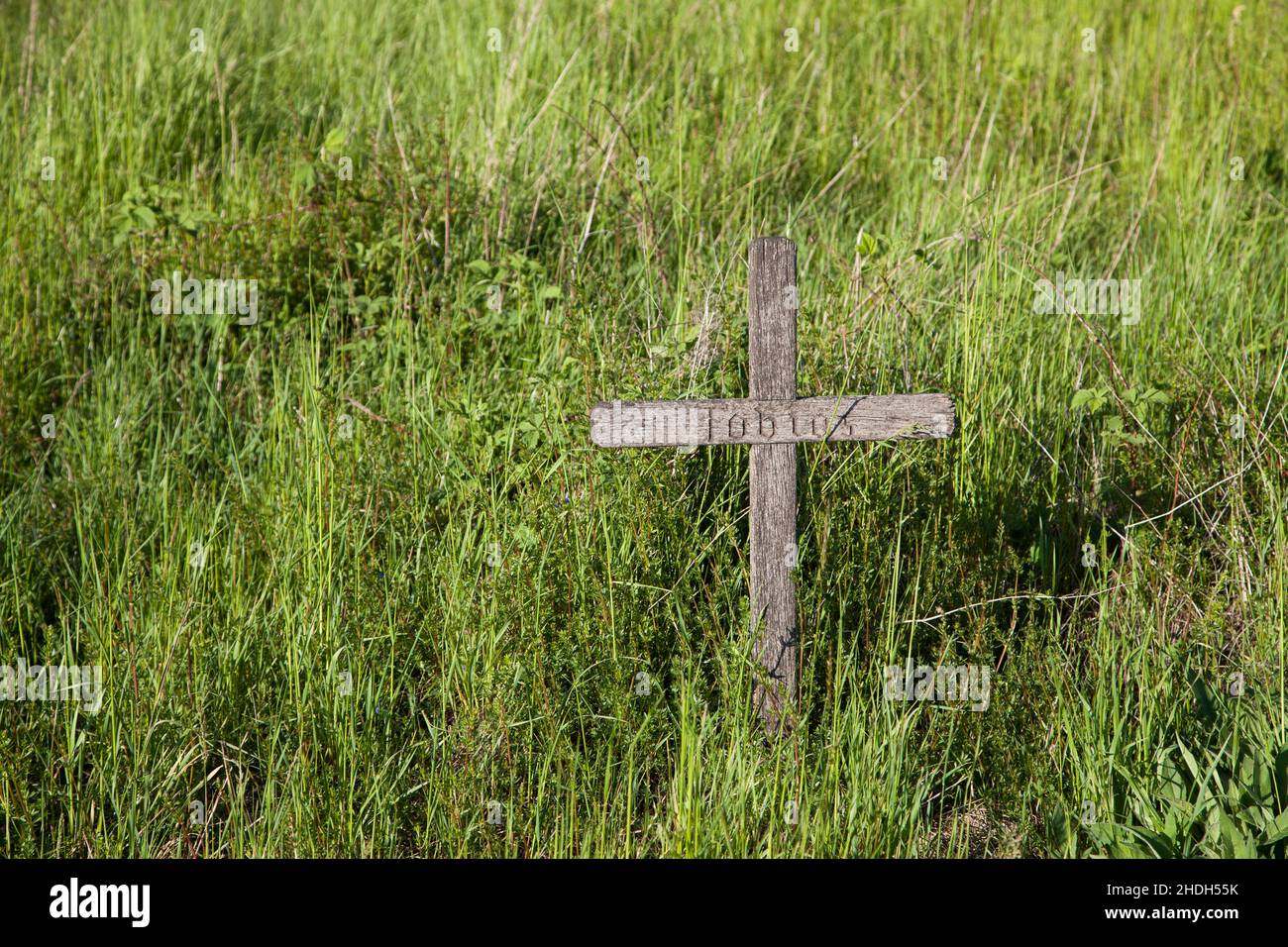 wooden cross, victim, wooden crosses, victims Stock Photo Alamy