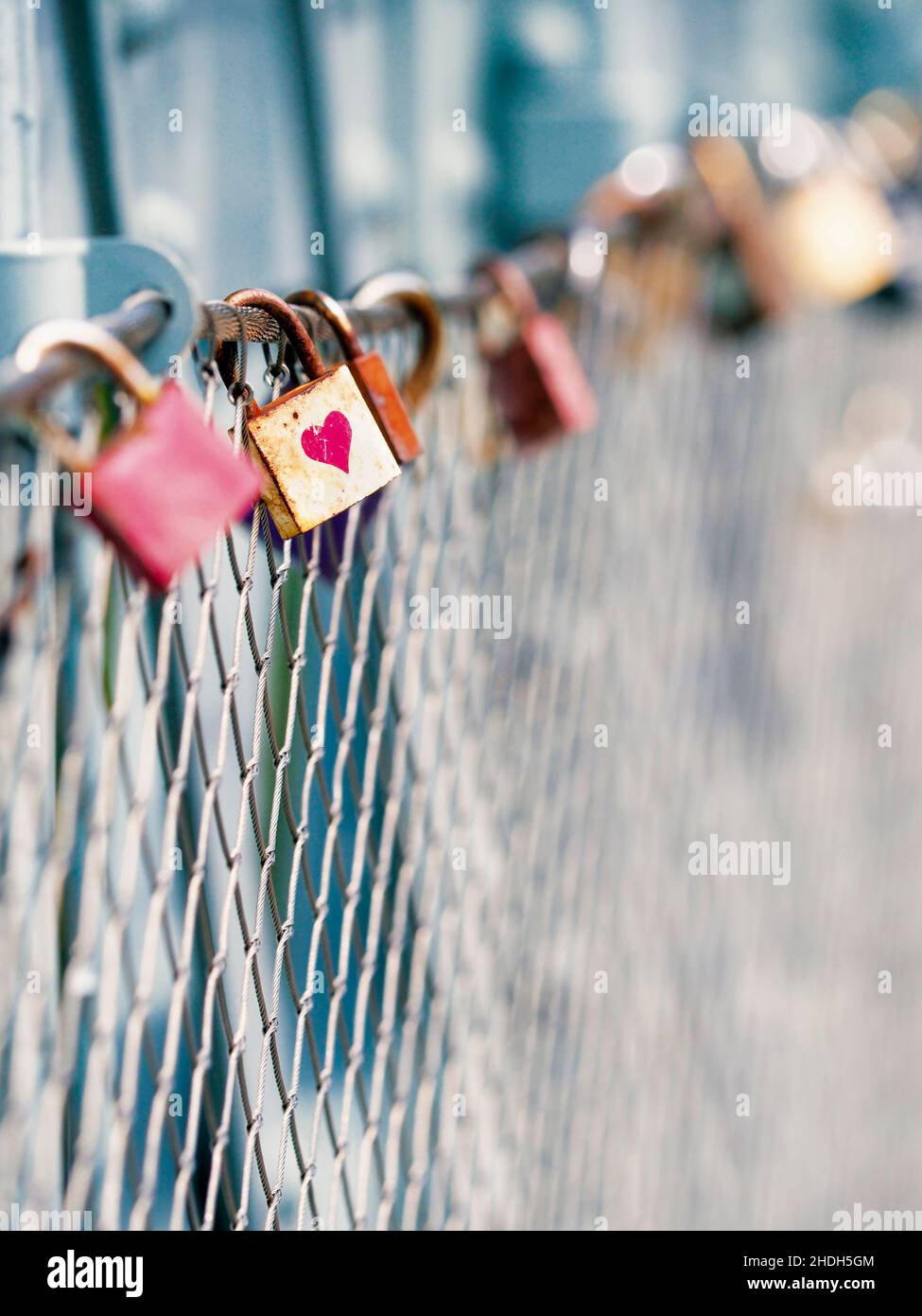 dear evidentiary, padlock, eternal love, loves, padlocks Stock Photo