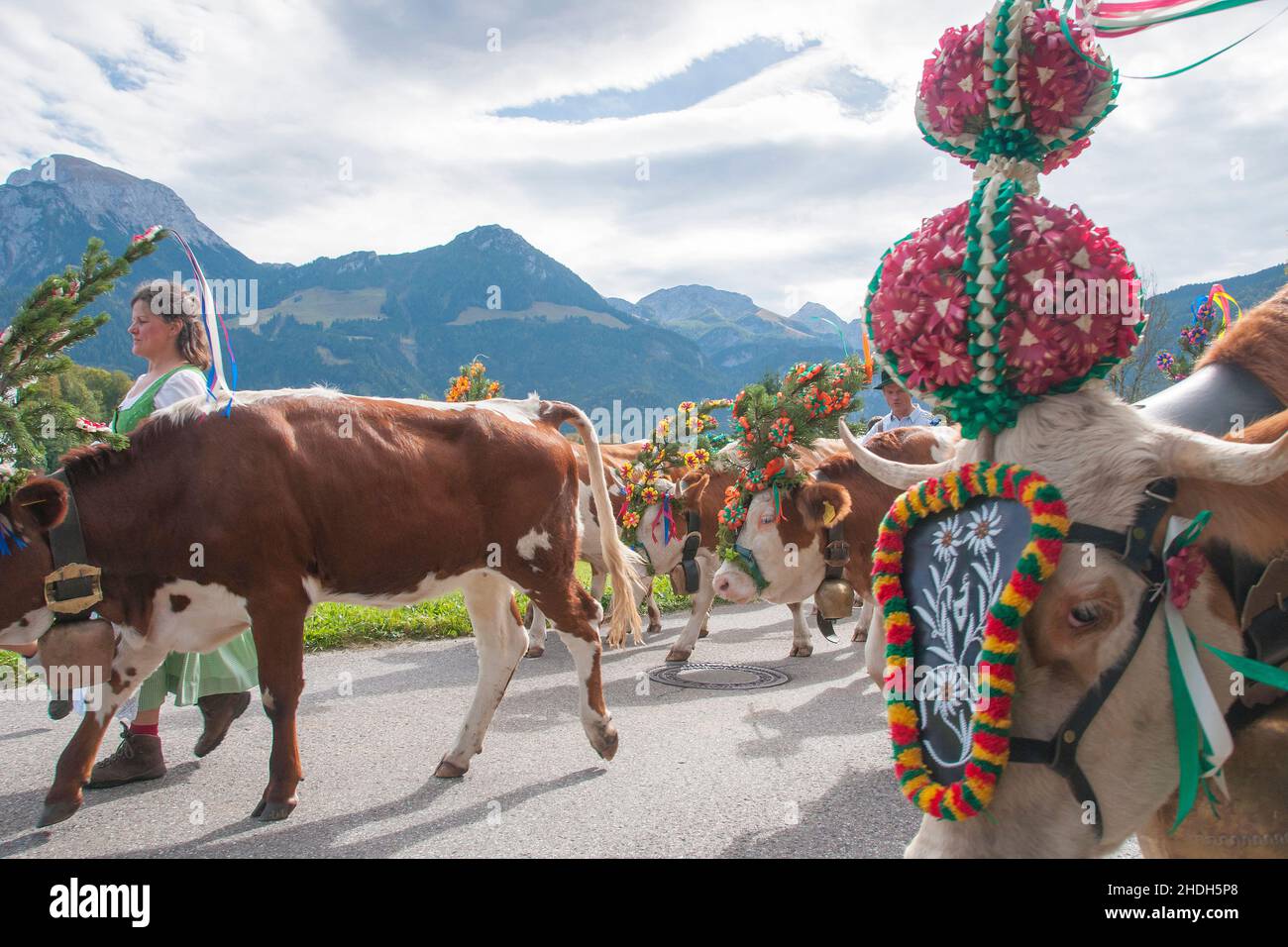 tradition, cow, almabtrieb, milkmaid, traditions, cows, almabtriebs Stock Photo
