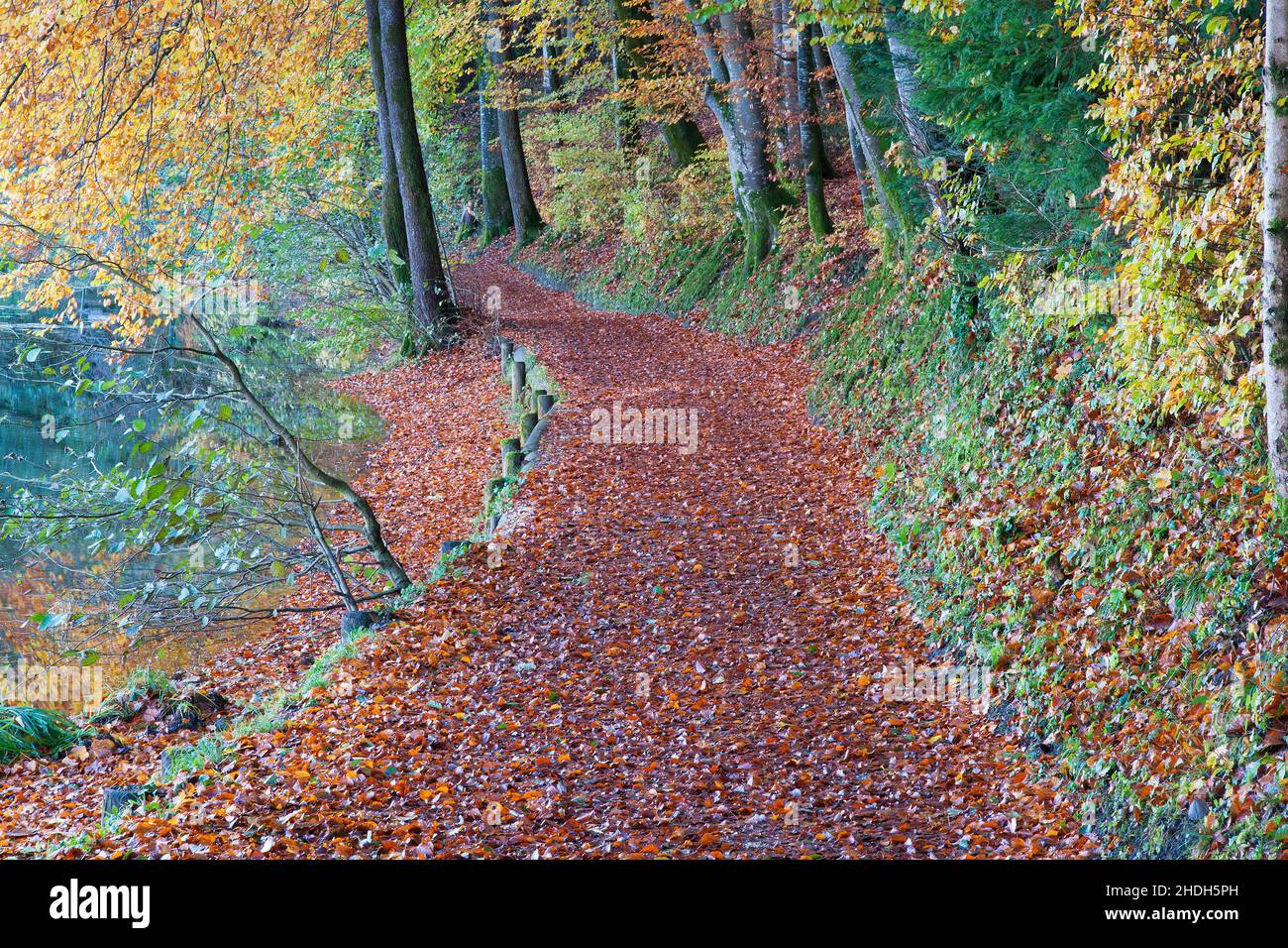Quiet paths hi-res stock photography and images - Alamy