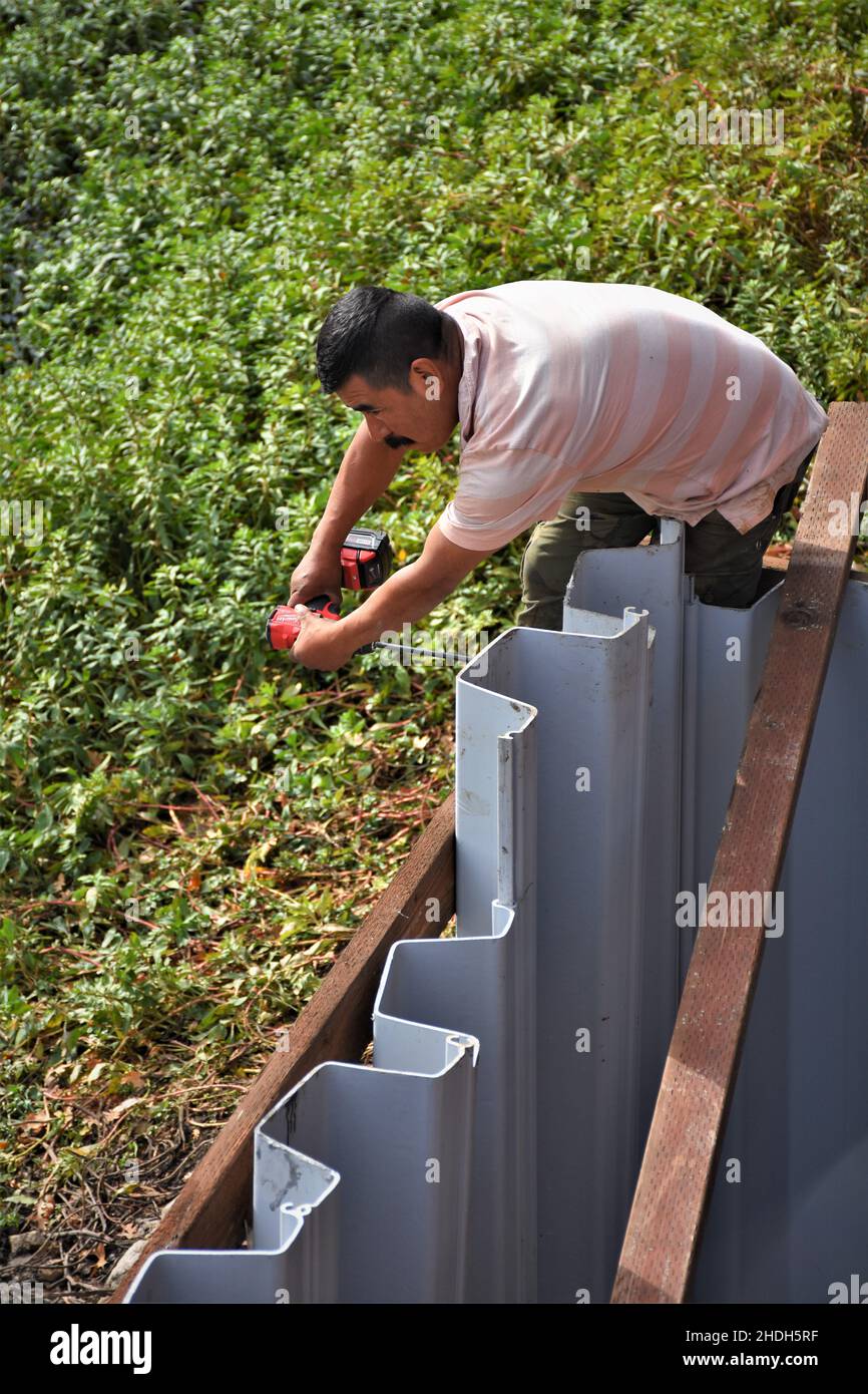 6 neighbors helping each other to install a sea wall while water is low after 8 year drought in California's Clear Lake in winter in boat channel Stock Photo