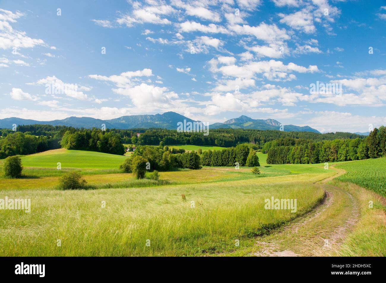 chiemgau, alpine scenery, vachendorf, chiemgaus, alpine sceneries Stock ...