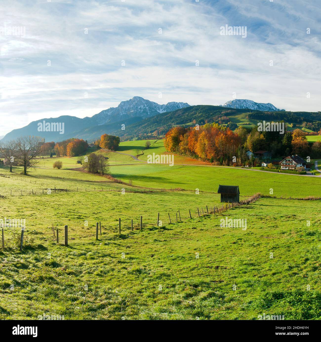 upper bavaria, berchtesgadener land, meadow, höglwörth, rupertiwinkel, upper bavarias, berchtesgadener lands, meadows, höglwörths, rupertiwinkels Stock Photo